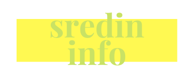logo_sredin info.png